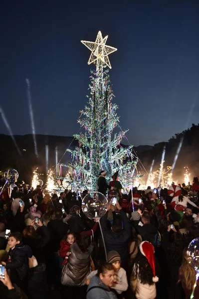 Bnachii Lake Christmas Tree Lighting 